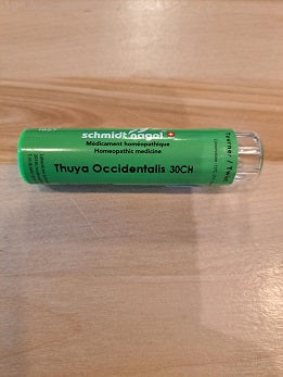 Thuya Occidentalis