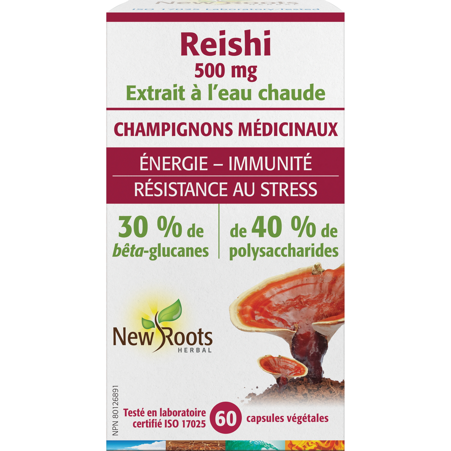 Reishi 60capsules