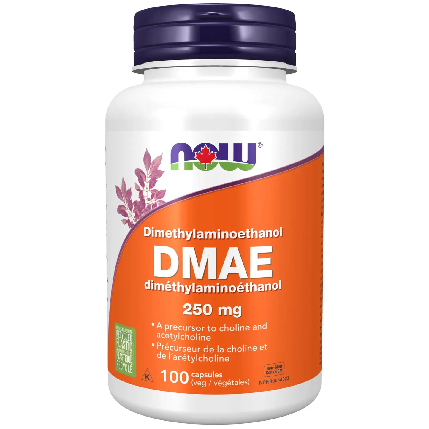 DMAE 250mg