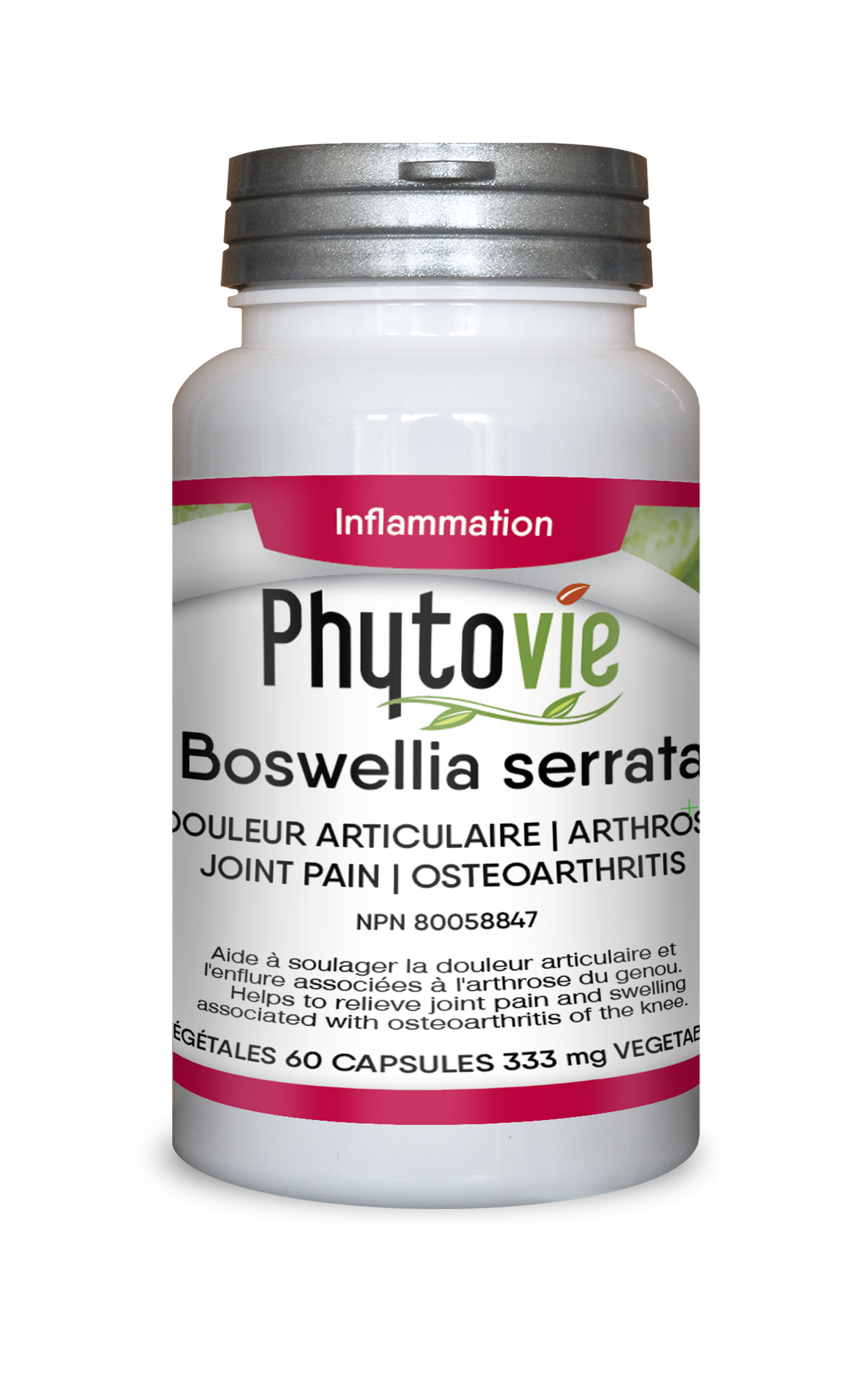 Boswellia serrata 60capsules