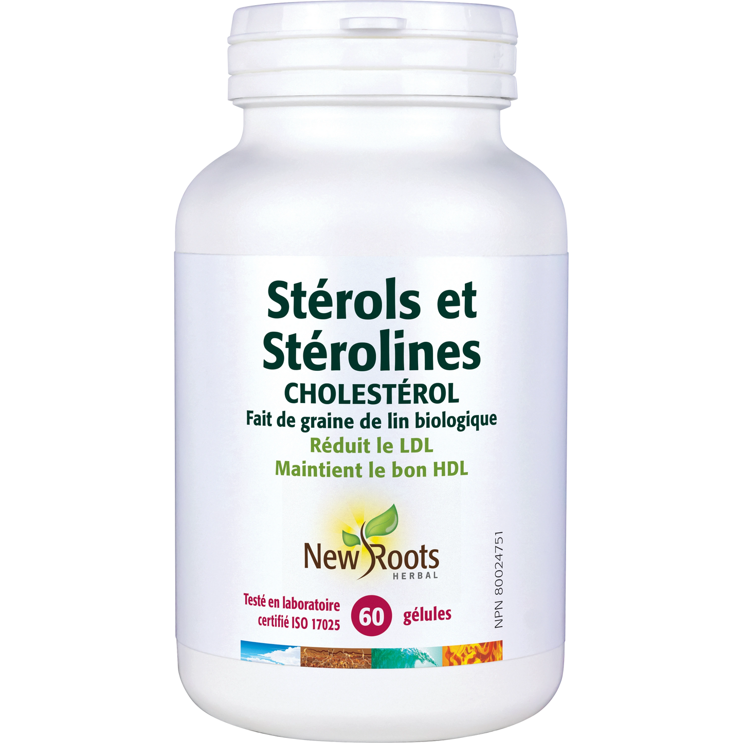 Stérols et Stérolines Cholestérol 60 capsules