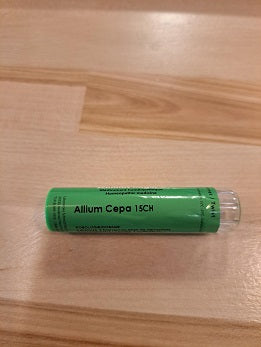 Allium Cepa