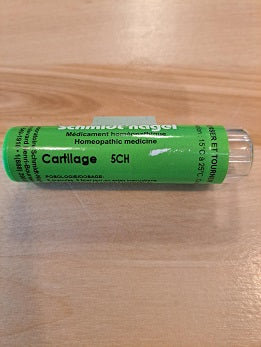 Cartilage