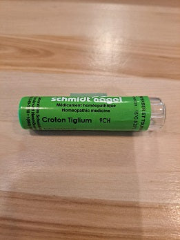 Croton Tiglium