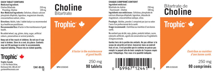 Bitartrate de choline 90comprimés