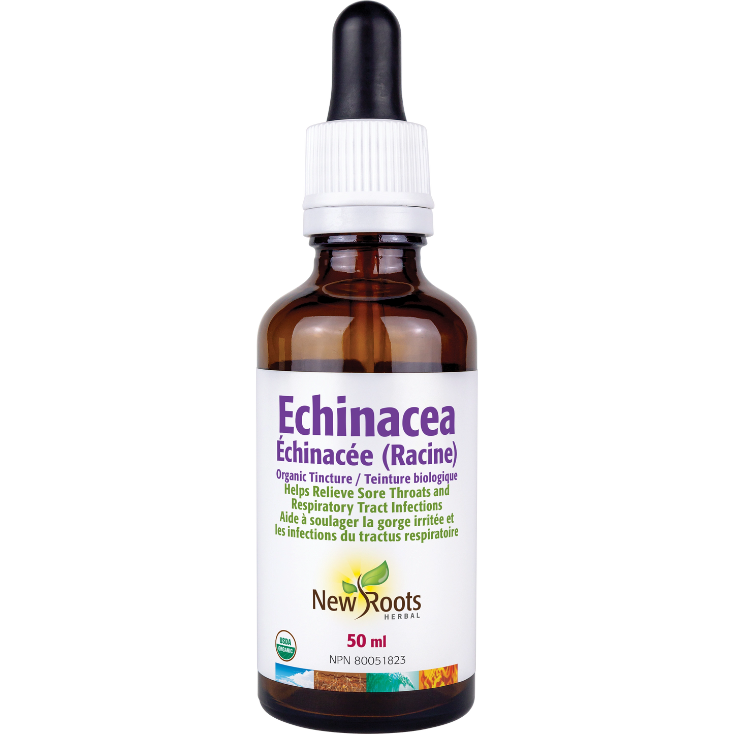 Échinacée (racine) teinture biologique 50ml