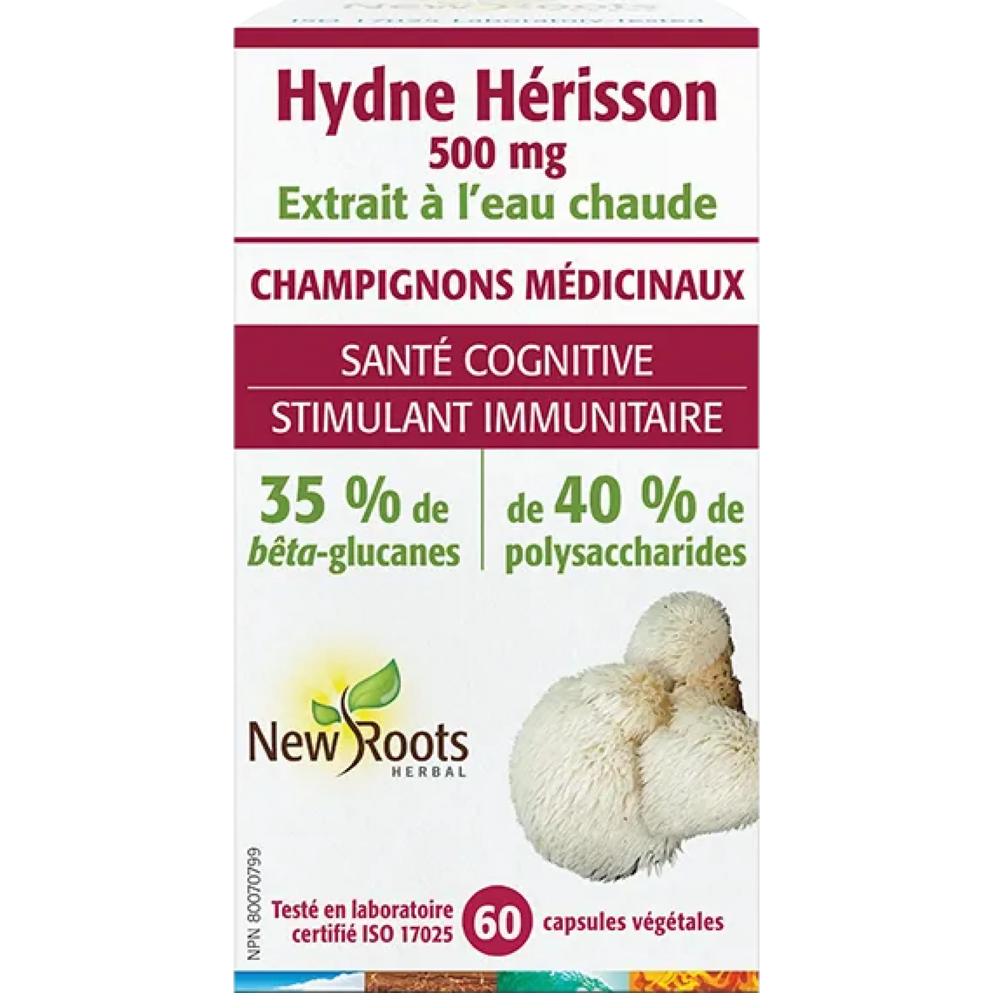 Hydne Hérisson 60capsules