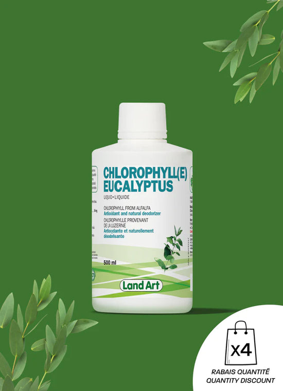 Chlorophylle eucalyptus 500mL