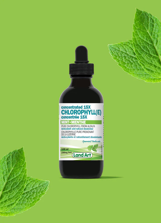 Chlorophylle concentrée 15X menthe 100mL