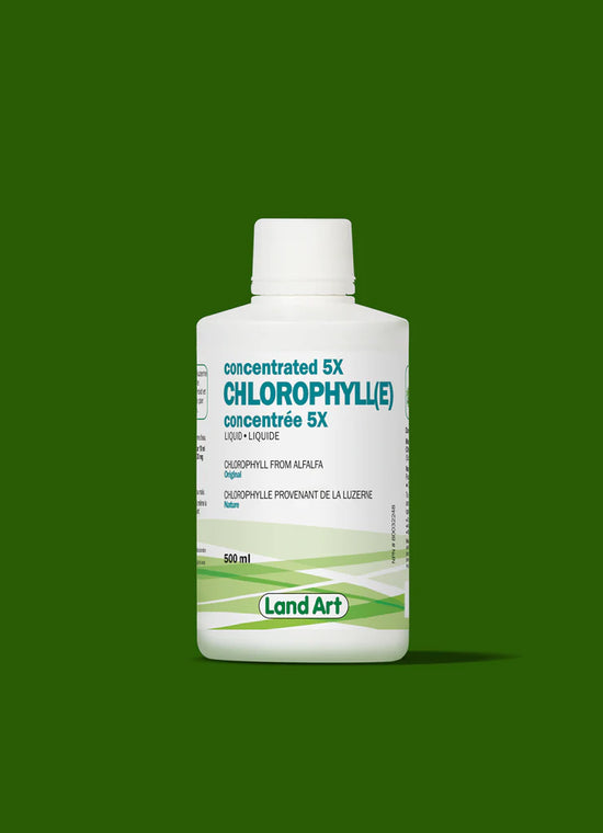 Chlorophylle concentrée 5X nature 500mL