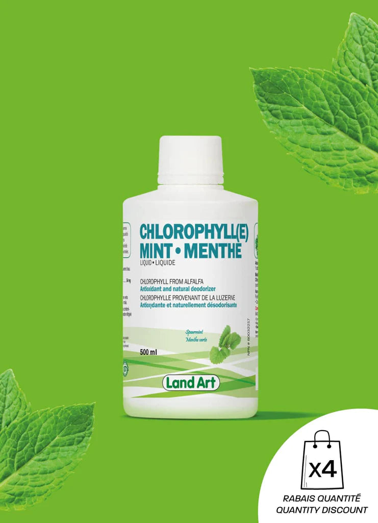 Chlorophylle menthe 500mL