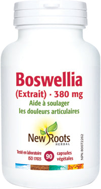 Boswellia (extrait)  380mg 90capsules