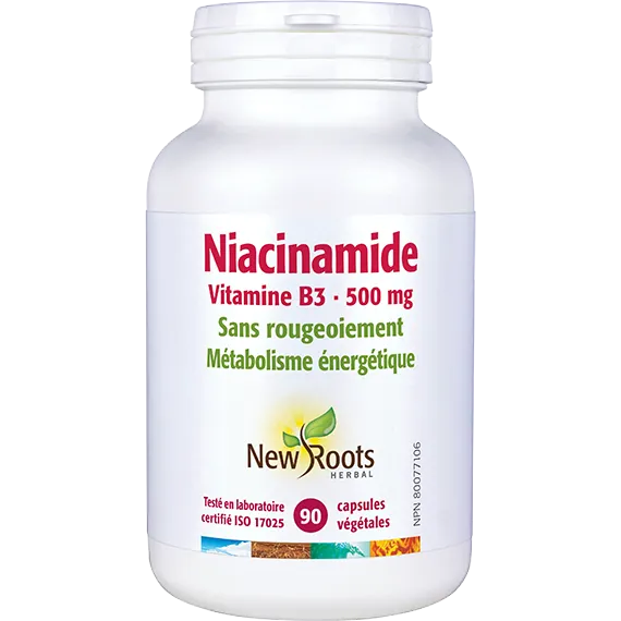 Niacinamide vitamine B3 500mg 90capsules