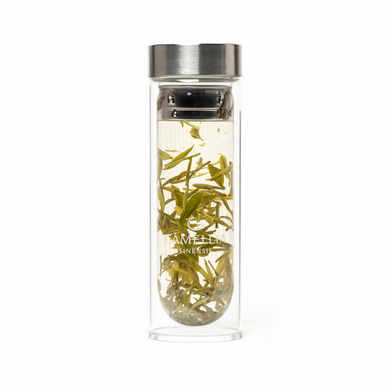 Bouteille à thé en verre 300ml
