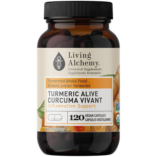 Curcuma vivant
