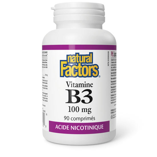 Vitamine B3 100mg 90 comprimés