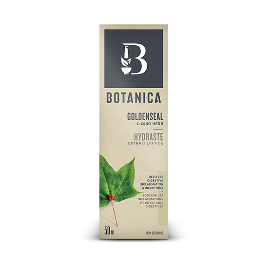 Hydraste extrait liquide 50ml