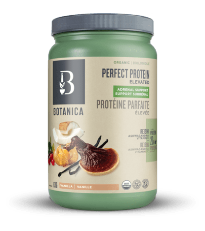Protéine parfaite élevée support surrénal 642g