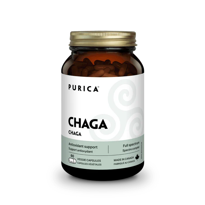 Chaga micronisé