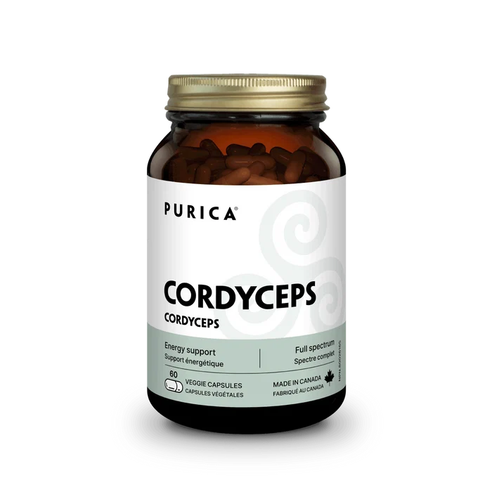 Cordyceps micronisé