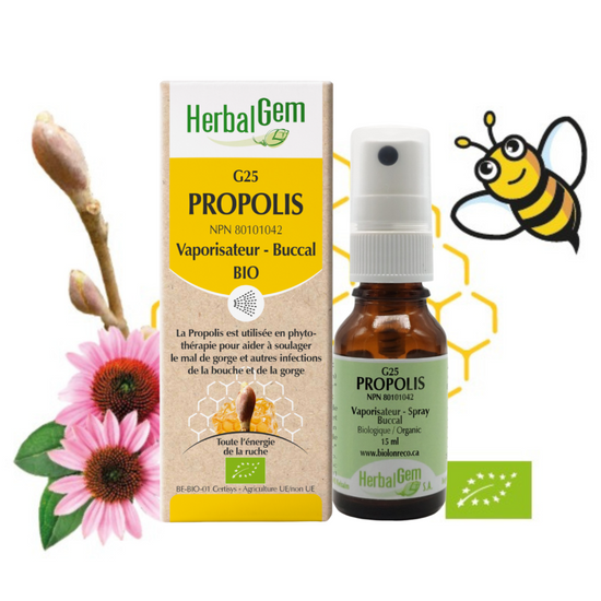 G25 Propolis vaporisateur 15ml