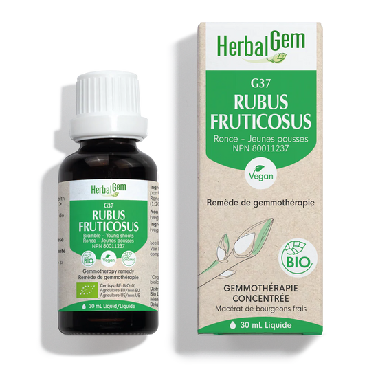 G37 Rubus Fructicosus 30ml
