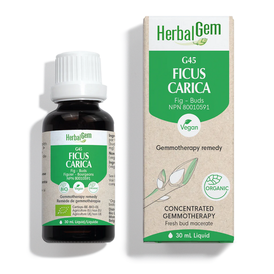 G45 Ficus Carica 30ml