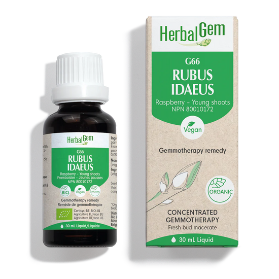 G66 Rubus Idaeus 30ml