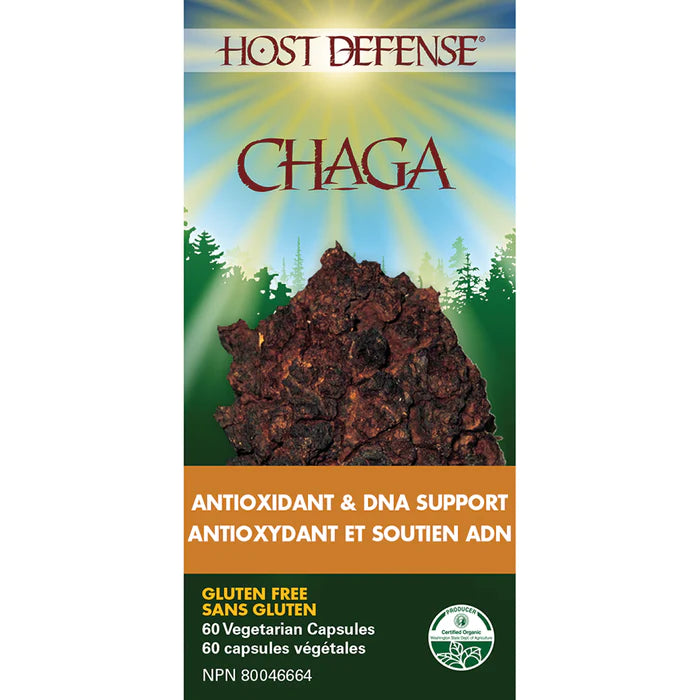 Chaga antioxidant et soutien ADN 60 capsules