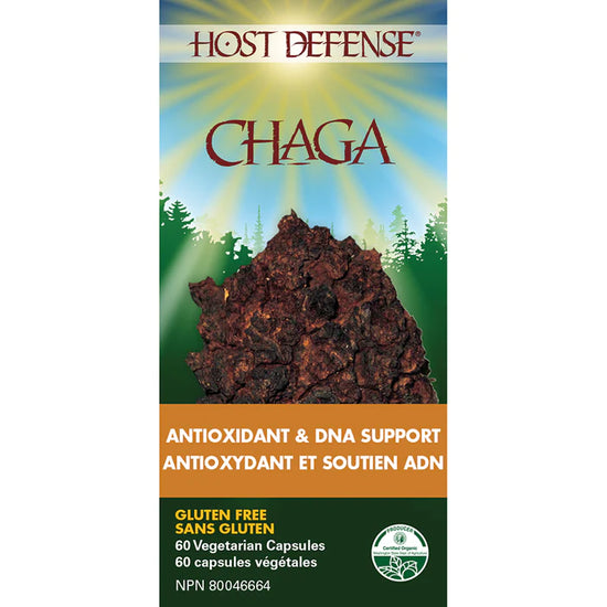 Chaga antioxidant et soutien ADN 60 capsules