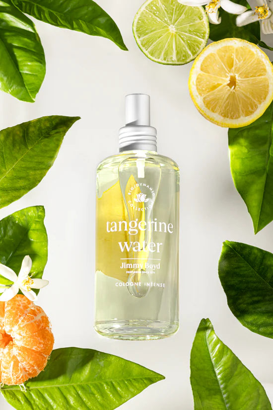 Parfum Jimmy Boyd 200ml