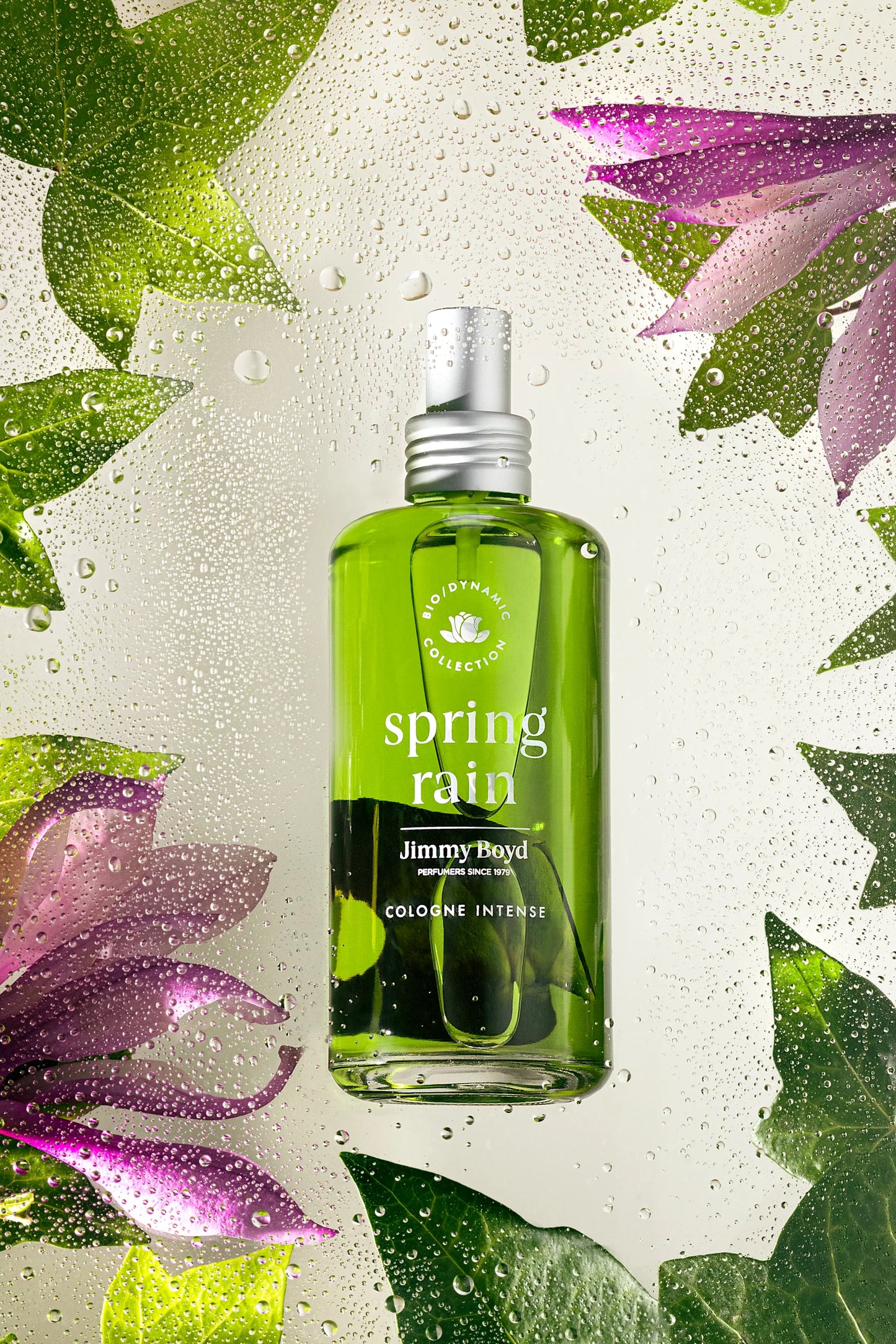 Parfum Jimmy Boyd 200ml