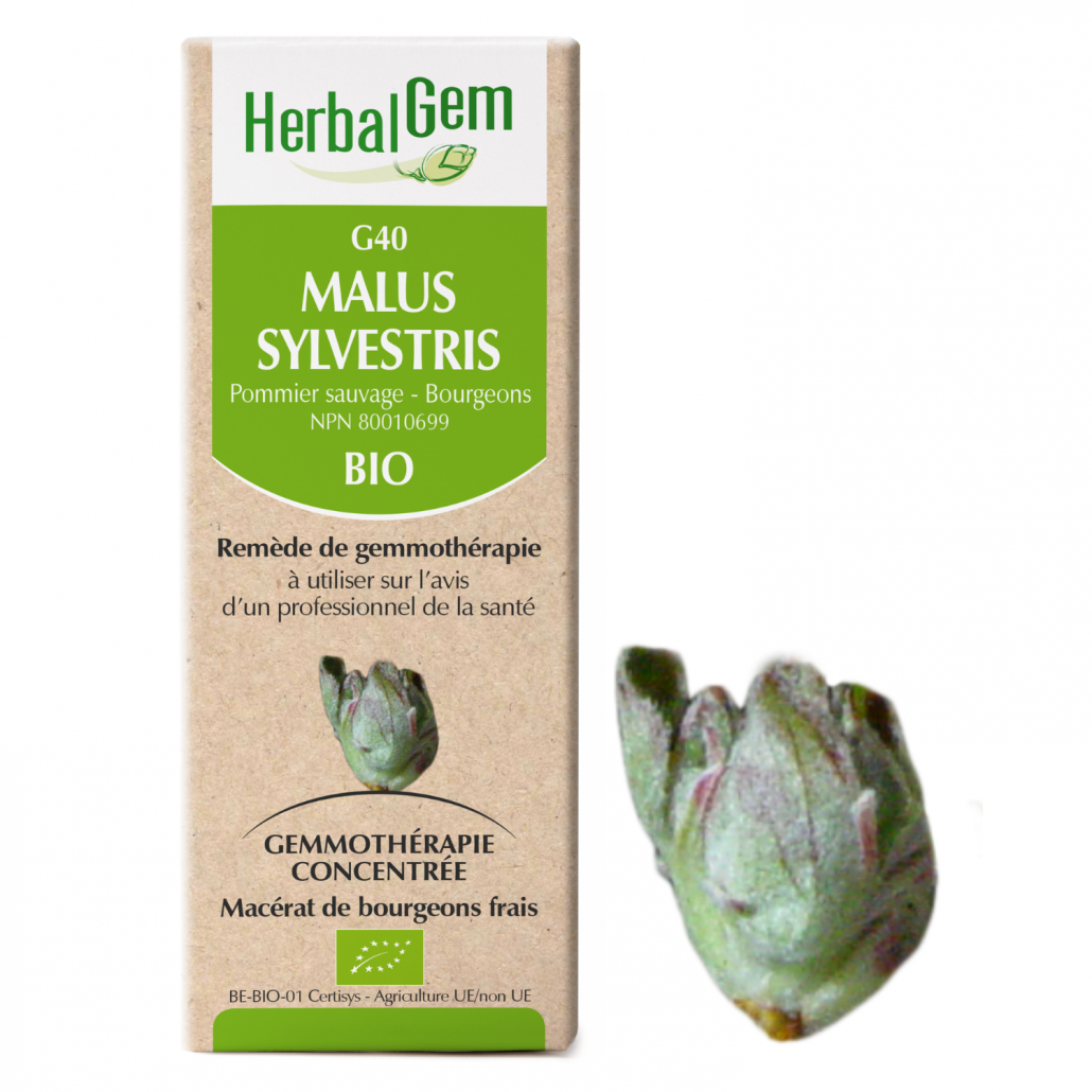 G40 Malus Sylvestris biologique 15ml