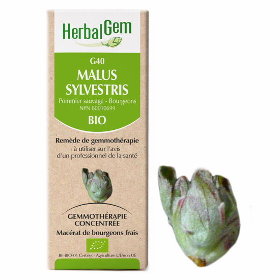 G40 Malus Sylvestris biologique 15ml