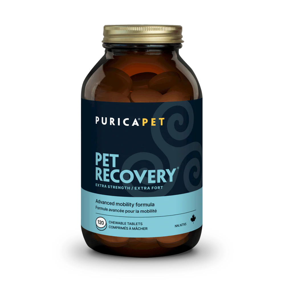 Recovery Extra Fort 120 comprimés à mâcher pour animaux