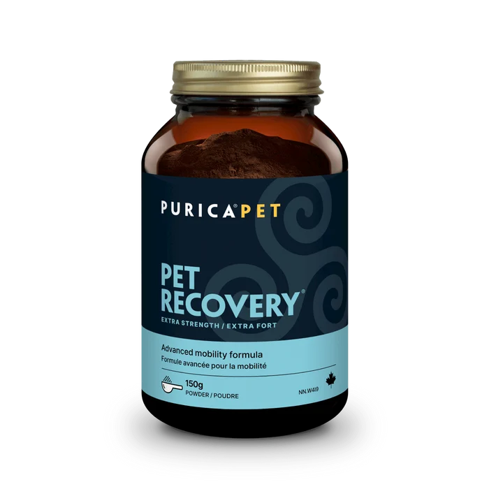 Recovery Extra strength 150g de poudre pour animaux