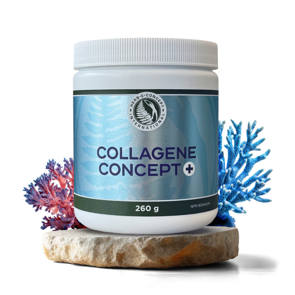 Collagène concept +