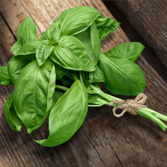 Chandelle Fraîcheur