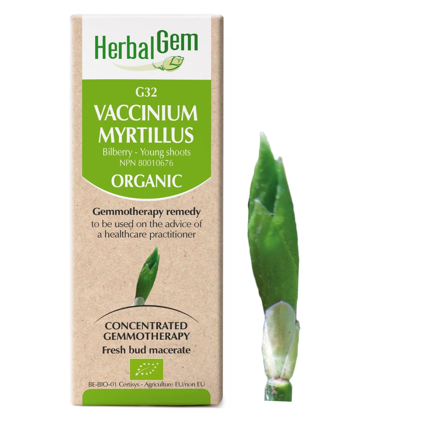 G32 Vaccinium Myrtillus 30ml