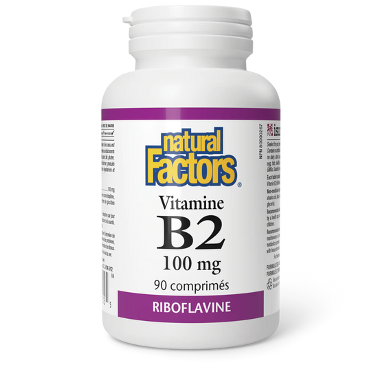 Vitamine B2 100mg 90 comprimés