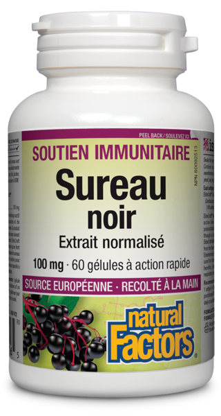 Sureau noir 100mg 60 gélules