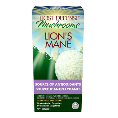 Lion's Mane Hydne Hérisson source d'antioxidants