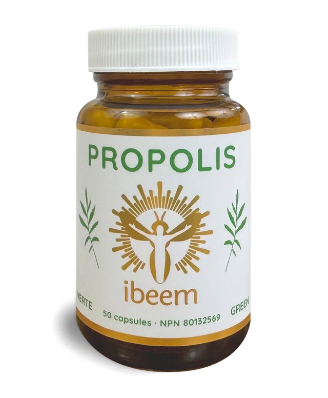 Propolis verte de Baccharis 50capsules