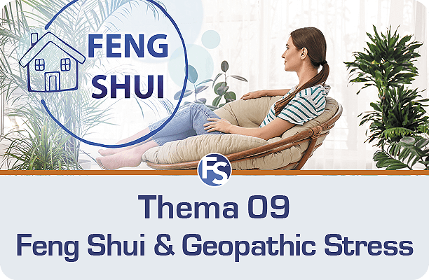 Thema 9 Feng Shui + Stress géopathique