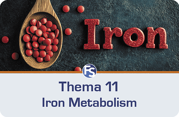 Thema 11 Métabolisme du fer