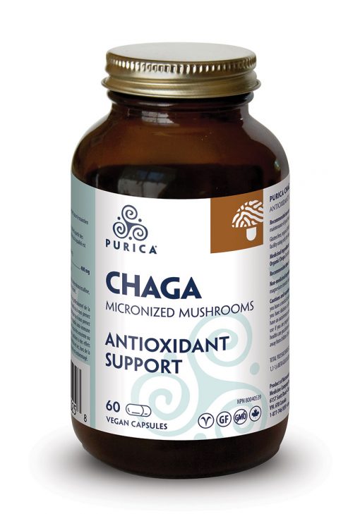 Chaga micronisé