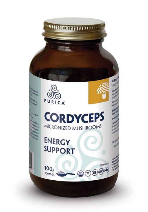 Cordyceps micronisé