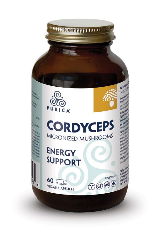 Cordyceps micronisé