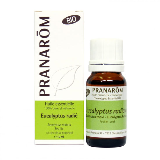 Pranarom Huile essentielle Eucalyptus radié 10ml