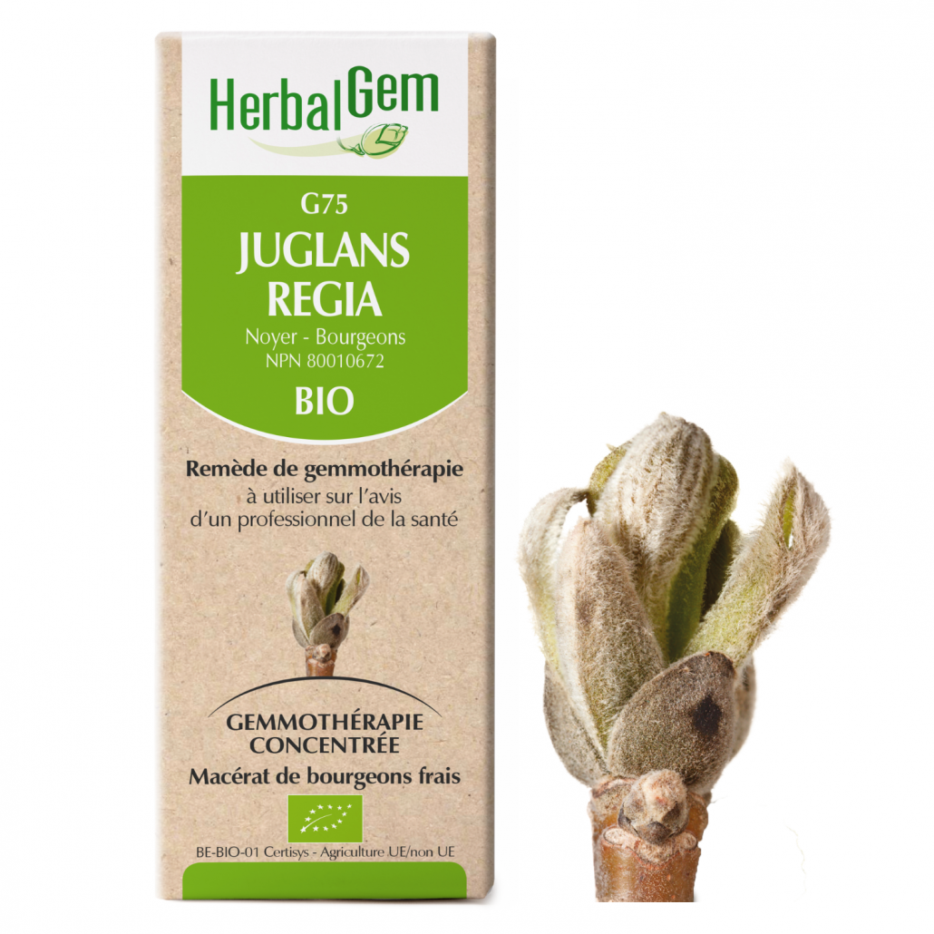 G75 Juglans Regia biologique 15ml